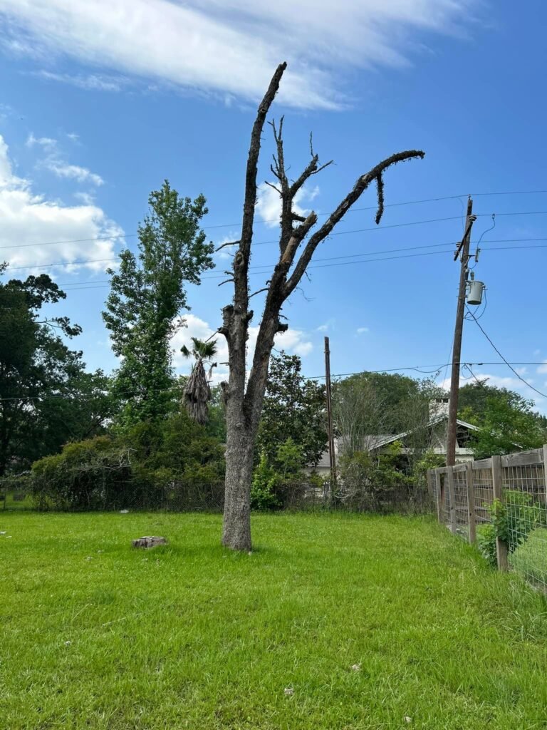 487363927_9349291965189288_2201428046677605325_n