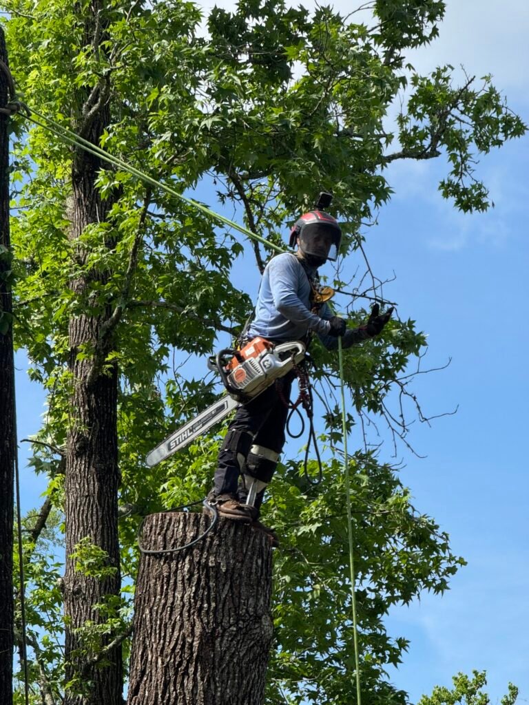 510694302_9958879804230498_6753222162325100028_n