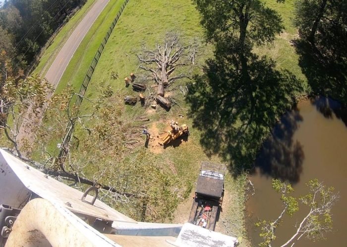 118004017_3169937453124801_8921638381692220976_n