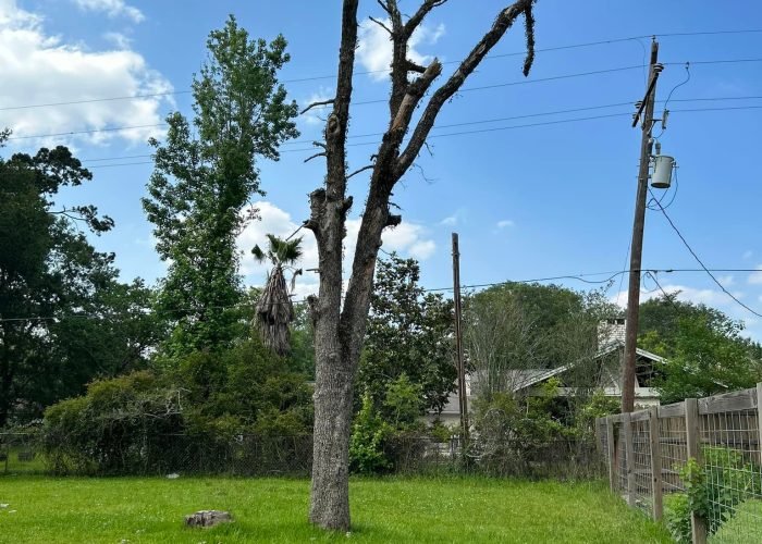 487538983_9349292011855950_3303960841792088612_n