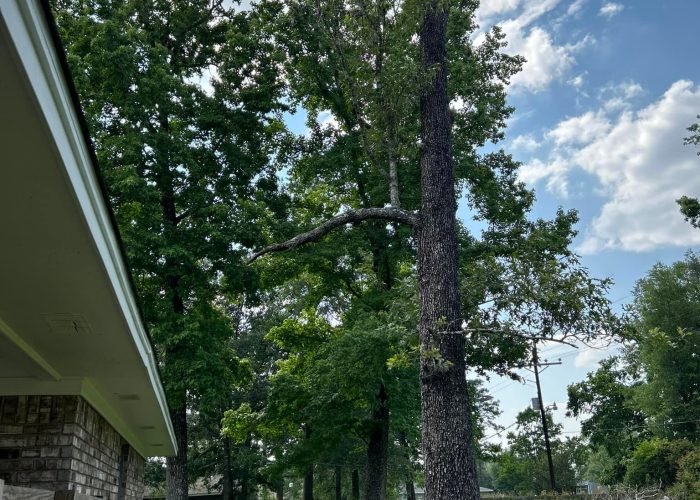 488154311_9349291961855955_7120078289977684439_n