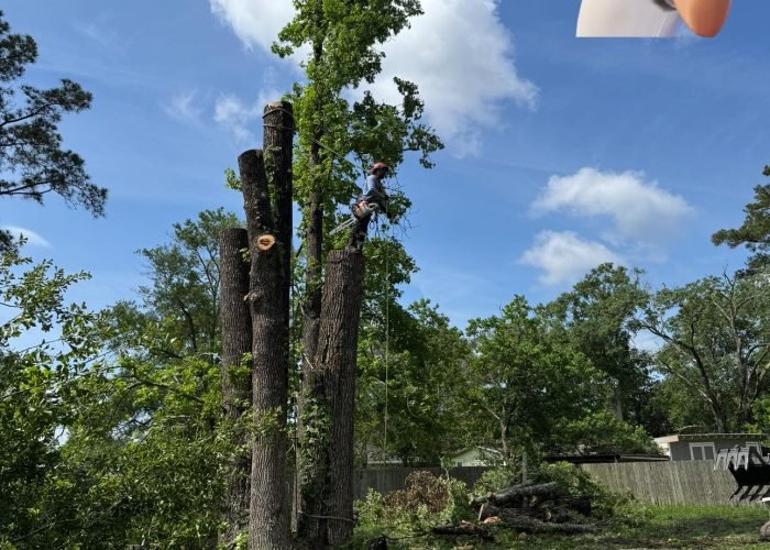 509442219_9958870347564777_3132513650680844890_n