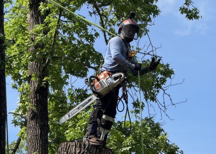 510694302_9958879804230498_6753222162325100028_n