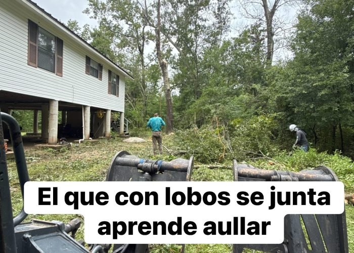 526076745_24021972694161306_4050168201075998979_n