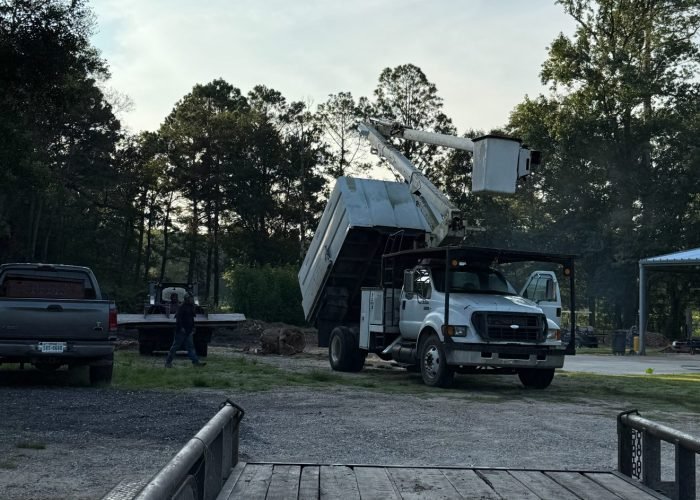 527577979_24029063506785558_5524712795319952181_n