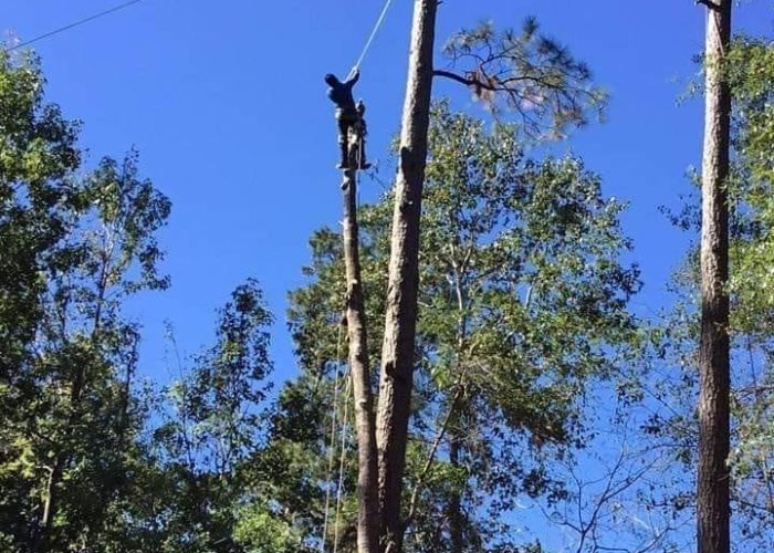 63681989_2244677555650800_6286044324027170816_n